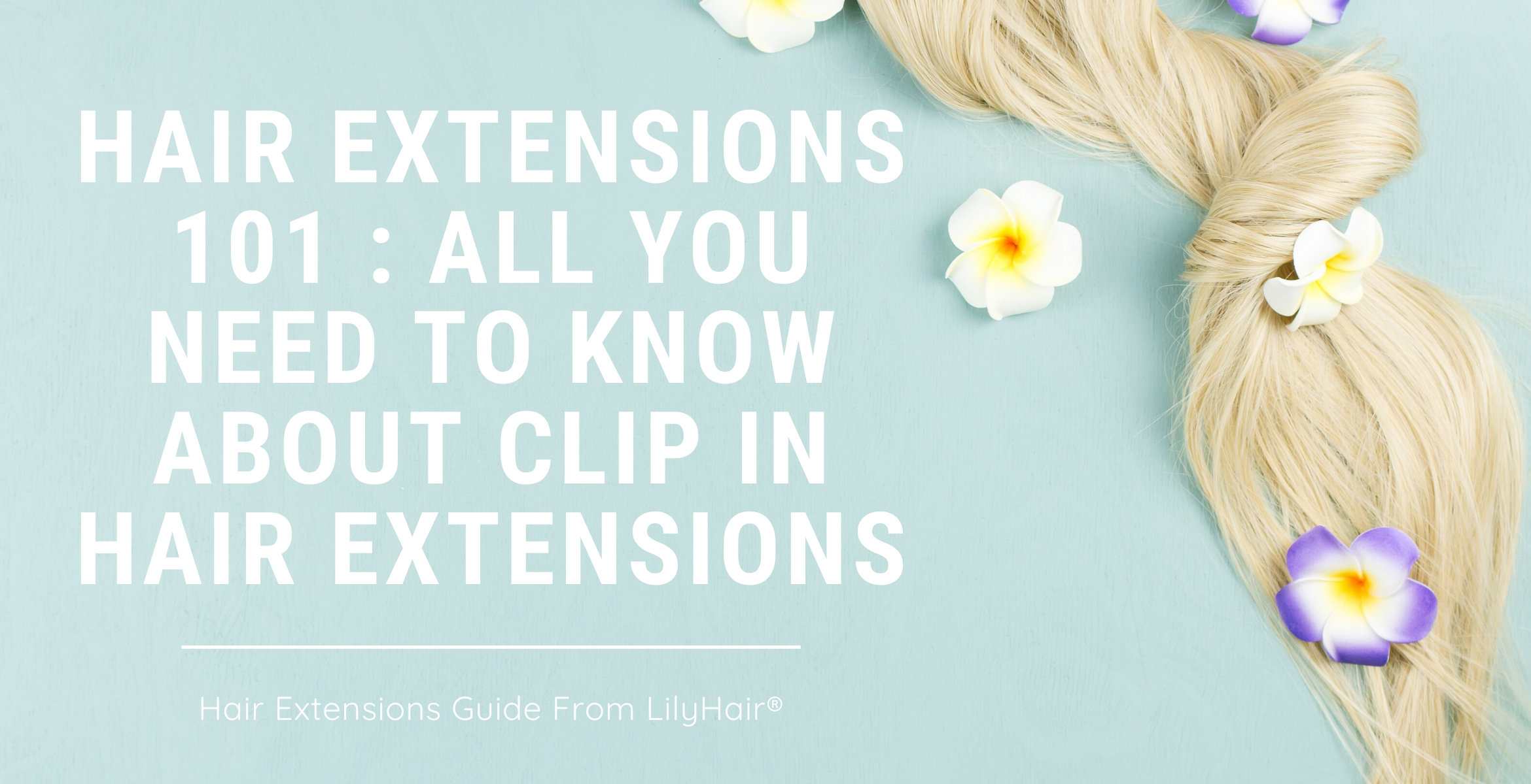 Hair-Extensions-101-_-All-You-Need-to-Know-About-Clip-In-Hair-Extensions-1-3